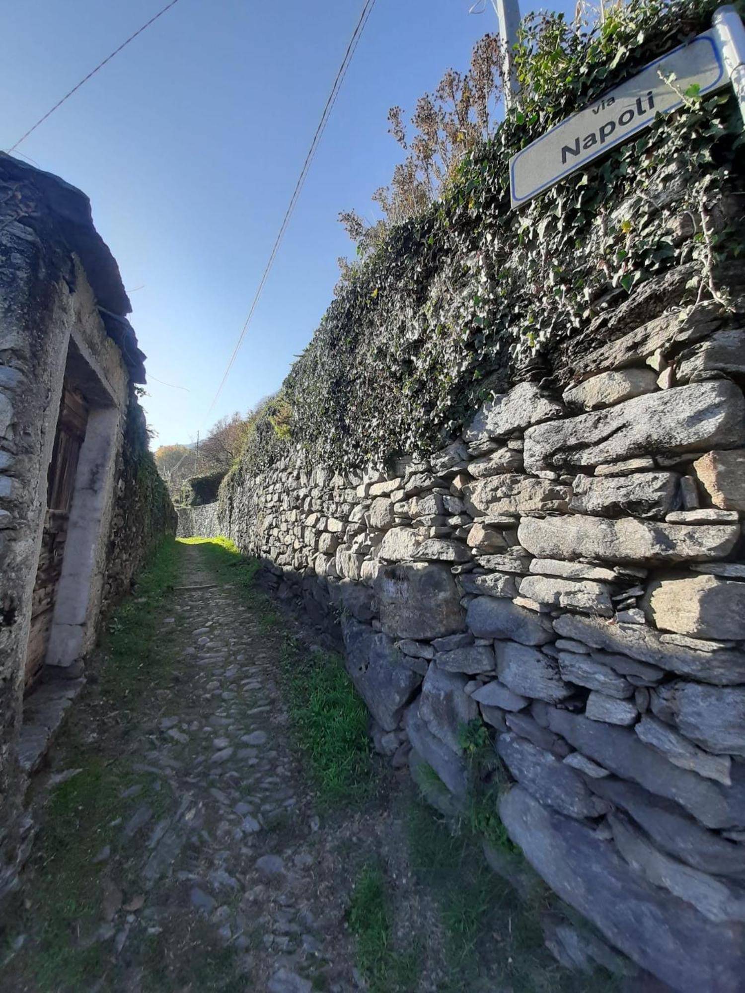 Residenza Le Camelie Lägenhet Oggebio Exteriör bild