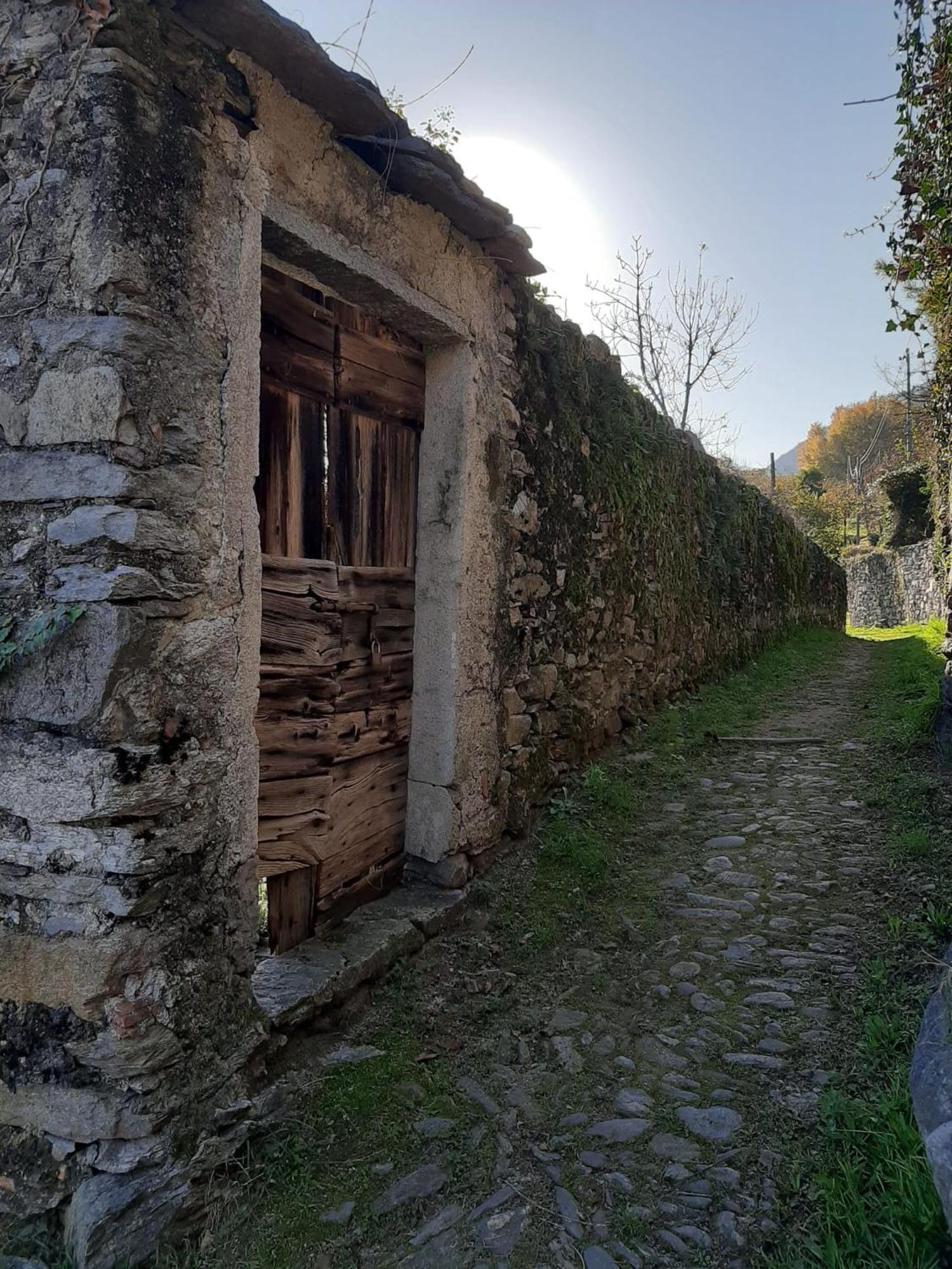 Residenza Le Camelie Lägenhet Oggebio Exteriör bild